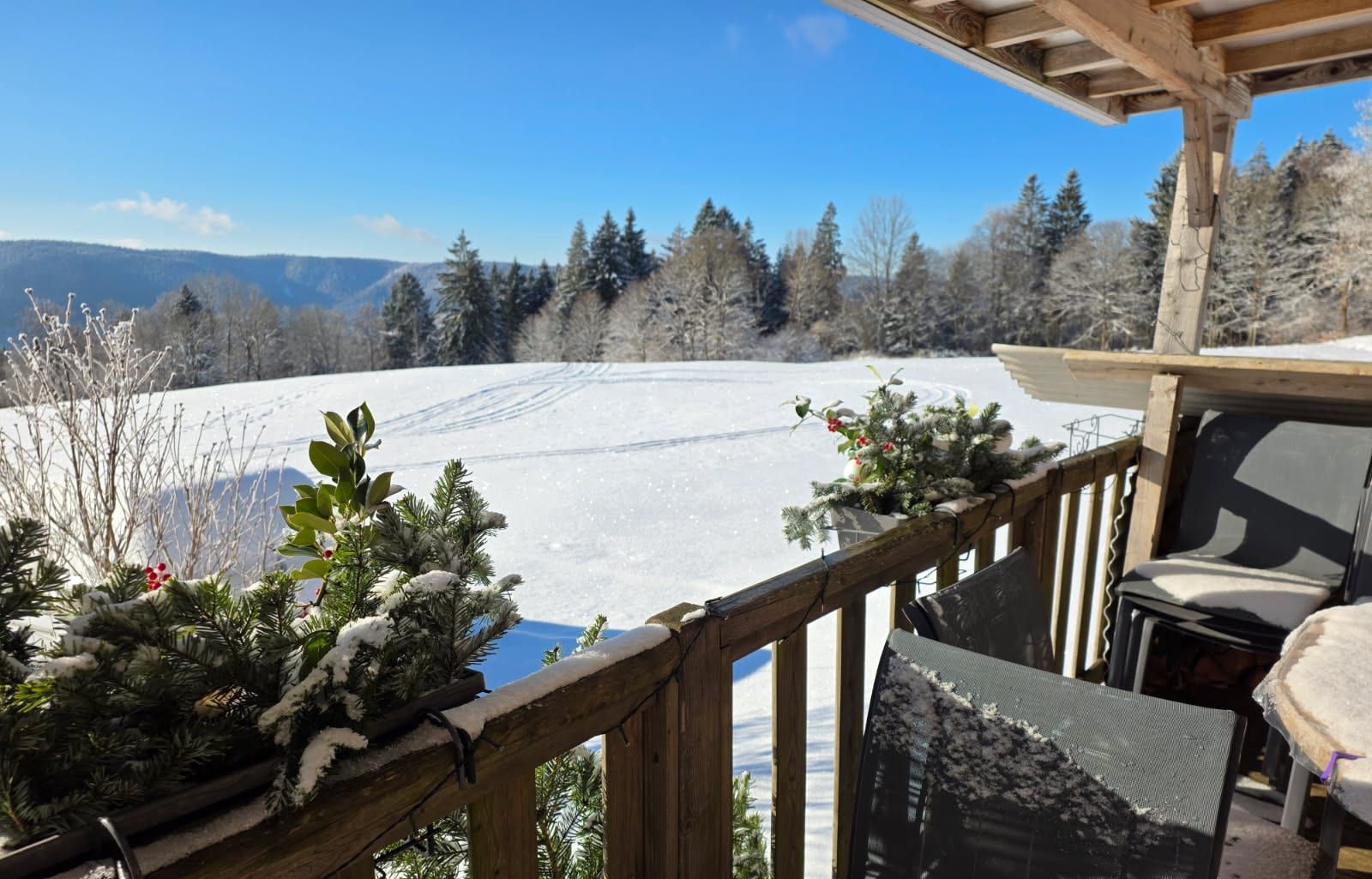 La terrasse couverte, vue sur la neige